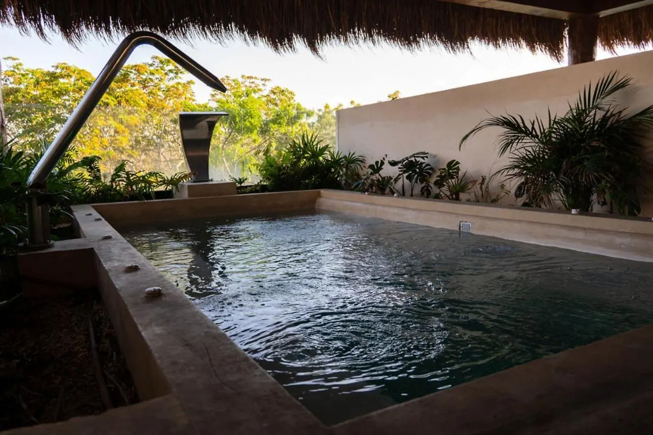 Luxury & Modern Apartments In Tulum Top Amenities By Yeah
