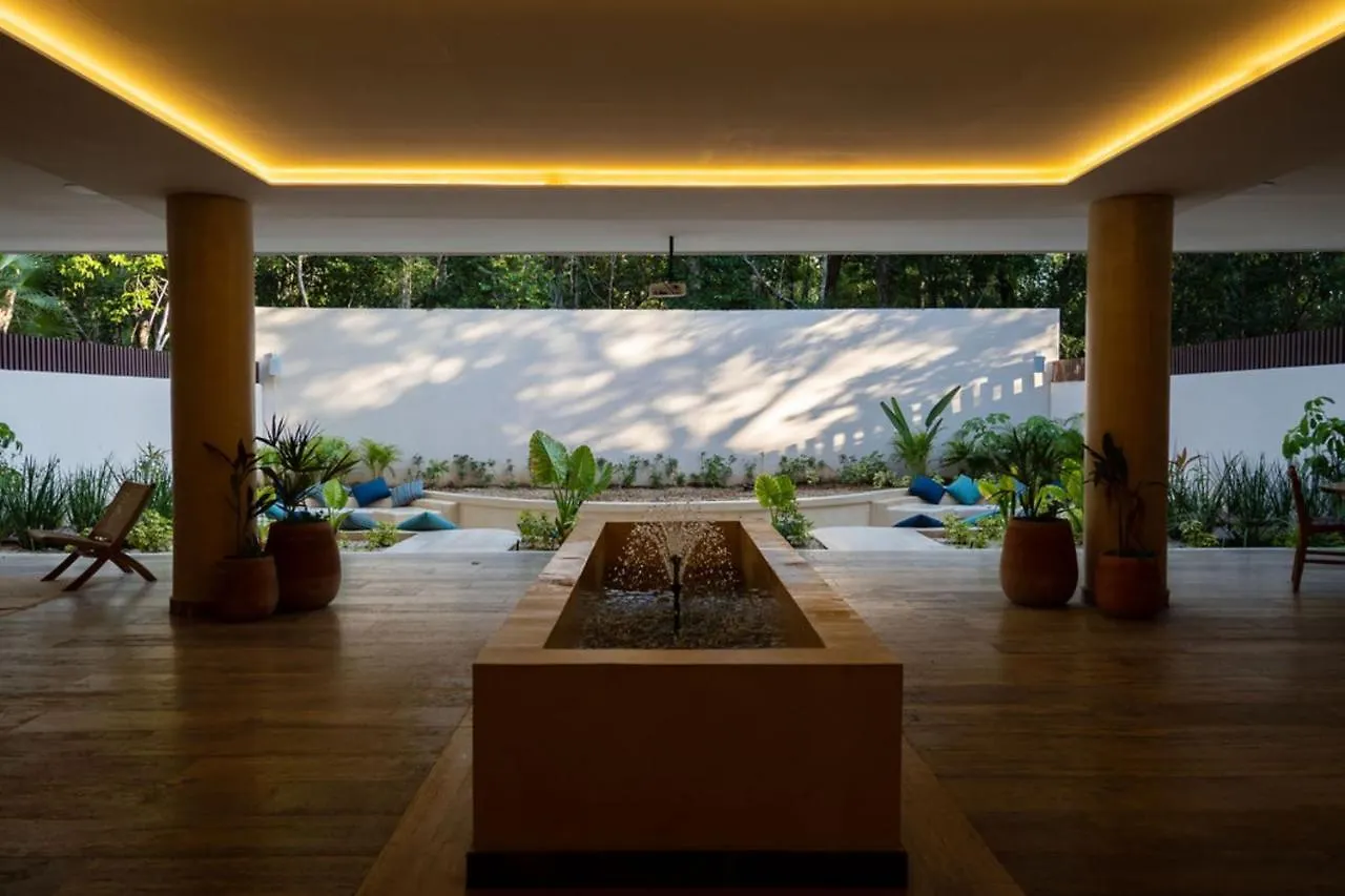 Luxury & Modern Apartments In Tulum Top Amenities By Yeah Mexico
